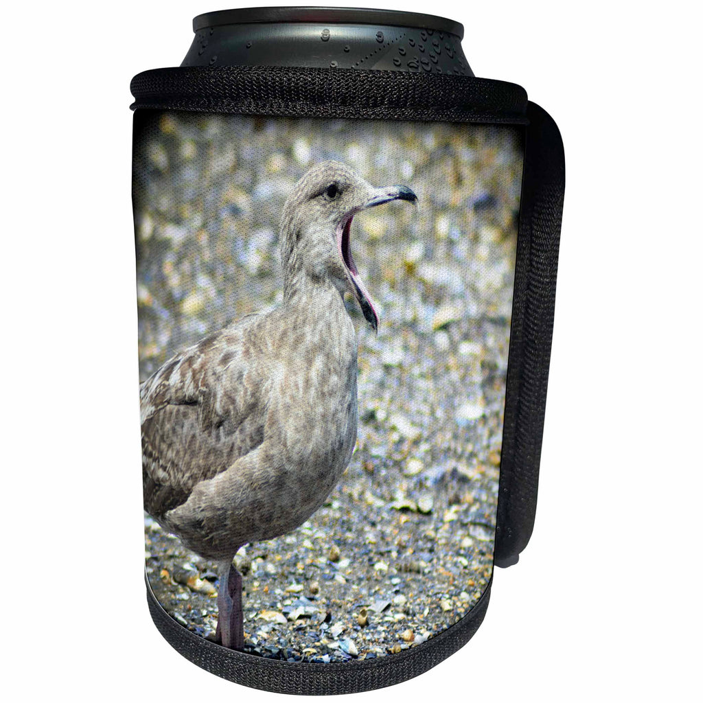 3dRose WhiteOaks Photography and Artwork - Seagulls - Seagull Talking is a seagull that looks like it is talking - Can Cooler Bottle Wrap (cc_265366)