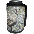 3dRose WhiteOaks Photography and Artwork - Seagulls - Seagull Talking is a seagull that looks like it is talking - Can Cooler Bottle Wrap (cc_265366)