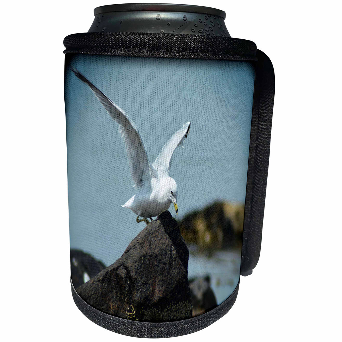 3dRose WhiteOaks Photography and Artwork - Seagulls - White Seagull with open Wings is a beautiful white seagull - Can Cooler Bottle Wrap (cc_265367)