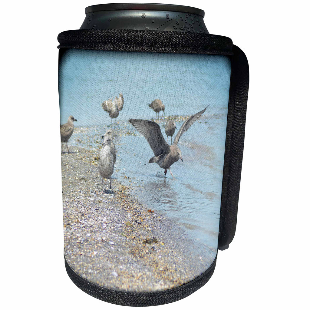 3dRose WhiteOaks Photography and Artwork - Seagulls - Dancing on the Water a photo of a seagull that looks like its dancing - Can Cooler Bottle Wrap (cc_265368)
