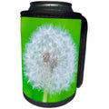 3dRose Alexis Photography - Flowers - Beautiful white dandelion flower - Can Cooler Bottle Wrap (cc_265532)