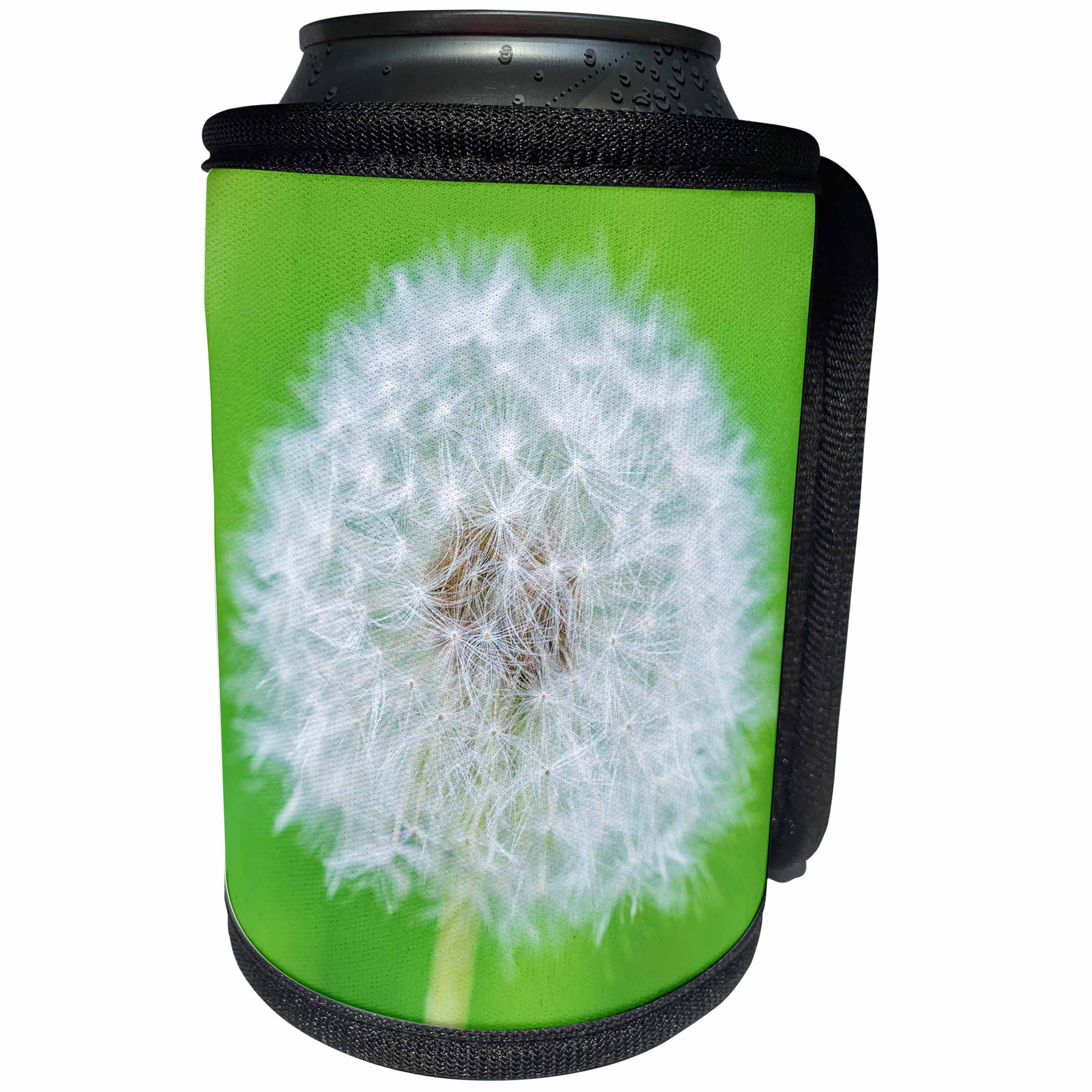 3dRose Alexis Photography - Flowers - Beautiful white dandelion flower - Can Cooler Bottle Wrap (cc_265532)