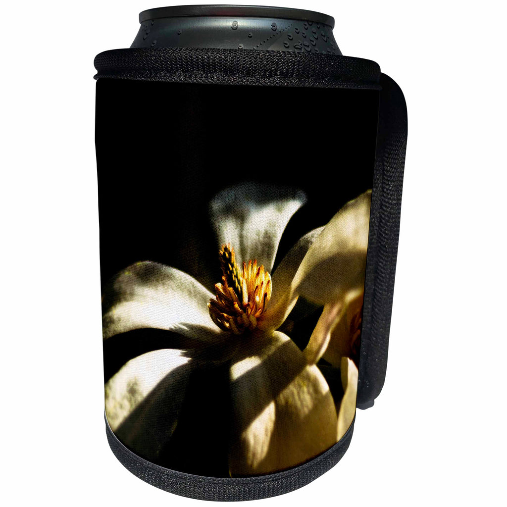 3dRose Alexis Photography - Flowers - Shining magnolia flower on dark - Can Cooler Bottle Wrap (cc_265539)