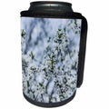 3dRose Alexis Photography - Flowers - Cherry trees in full bloom - Can Cooler Bottle Wrap (cc_265548)