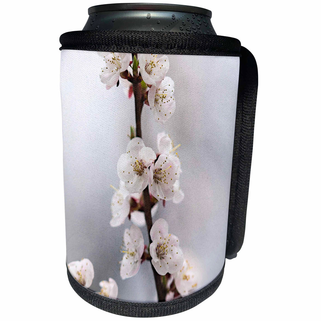 3dRose Alexis Photography - Flowers Sakura - Soft pink sakura flowers in spring - Can Cooler Bottle Wrap (cc_265551)