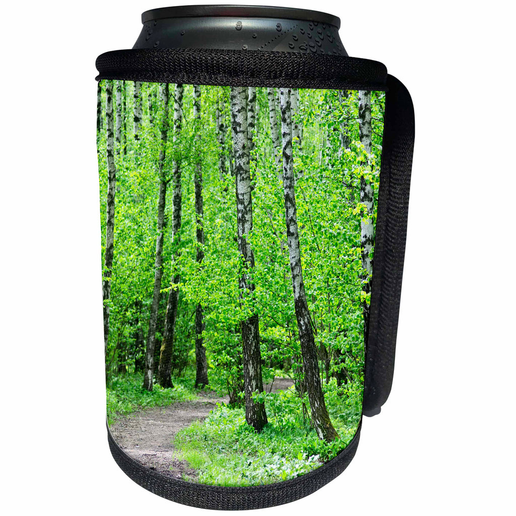 3dRose Alexis Photography - Spring - Spring in the birch grove. Fresh green foliage - Can Cooler Bottle Wrap (cc_265561)