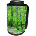 3dRose Alexis Photography - Spring - Spring in the birch grove. Fresh green foliage - Can Cooler Bottle Wrap (cc_265561)