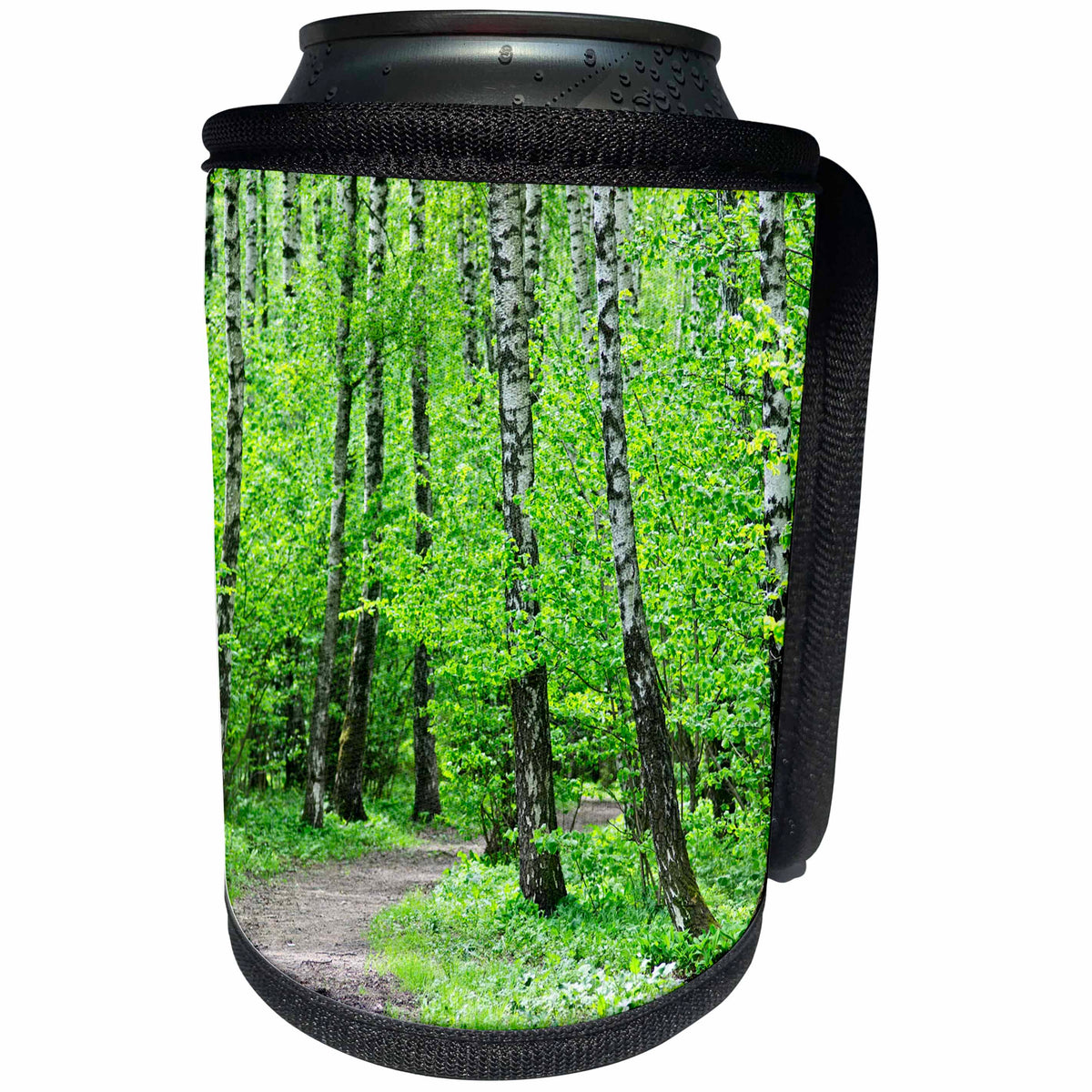 3dRose Alexis Photography - Spring - Spring in the birch grove. Fresh green foliage - Can Cooler Bottle Wrap (cc_265561)