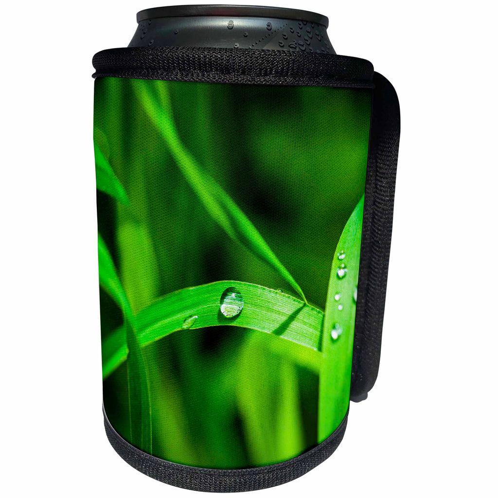 3dRose Alexis Photography - Spring - Drops of water of a fresh green grass - Can Cooler Bottle Wrap (cc_265567)