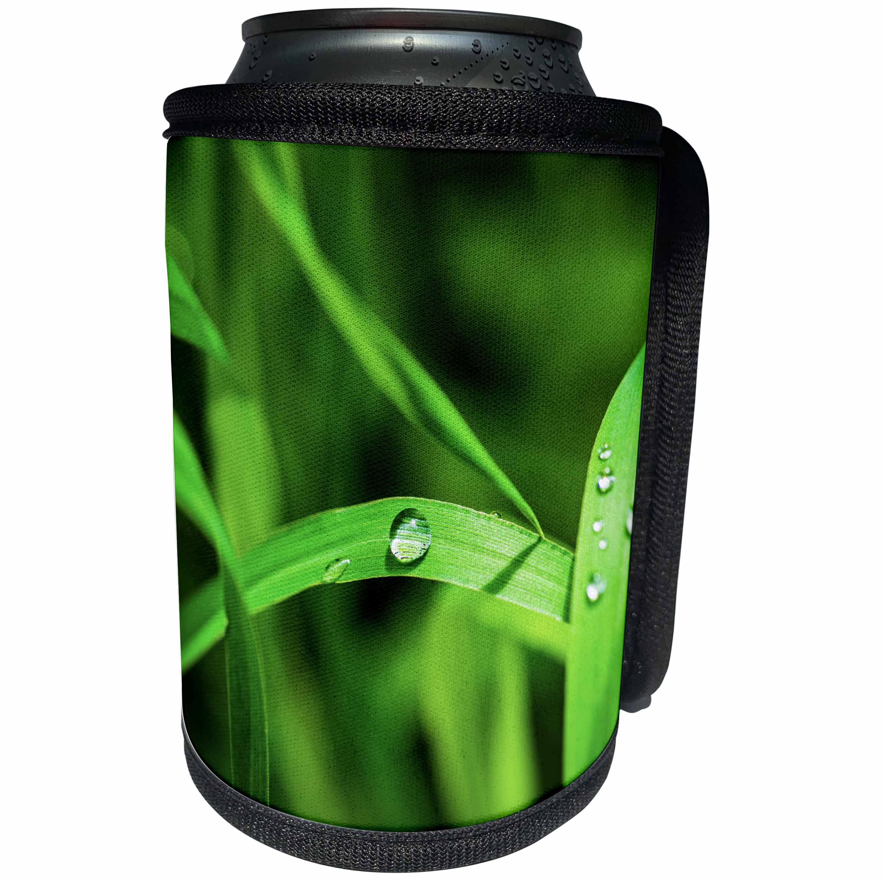 3dRose Alexis Photography - Spring - Drops of water of a fresh green grass - Can Cooler Bottle Wrap (cc_265567)