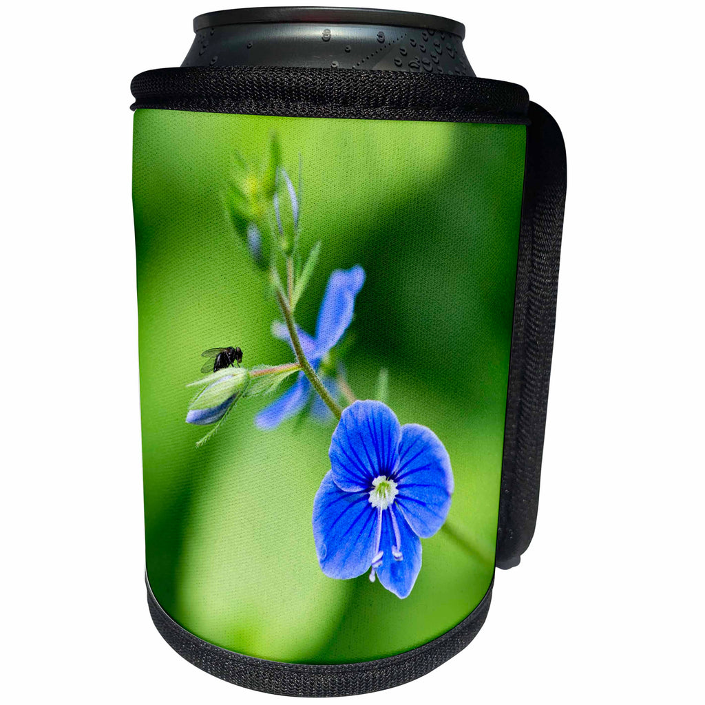 3dRose Alexis Photography - Spring - Fly and a small blue flower. Meadow fairy tale - Can Cooler Bottle Wrap (cc_265569)