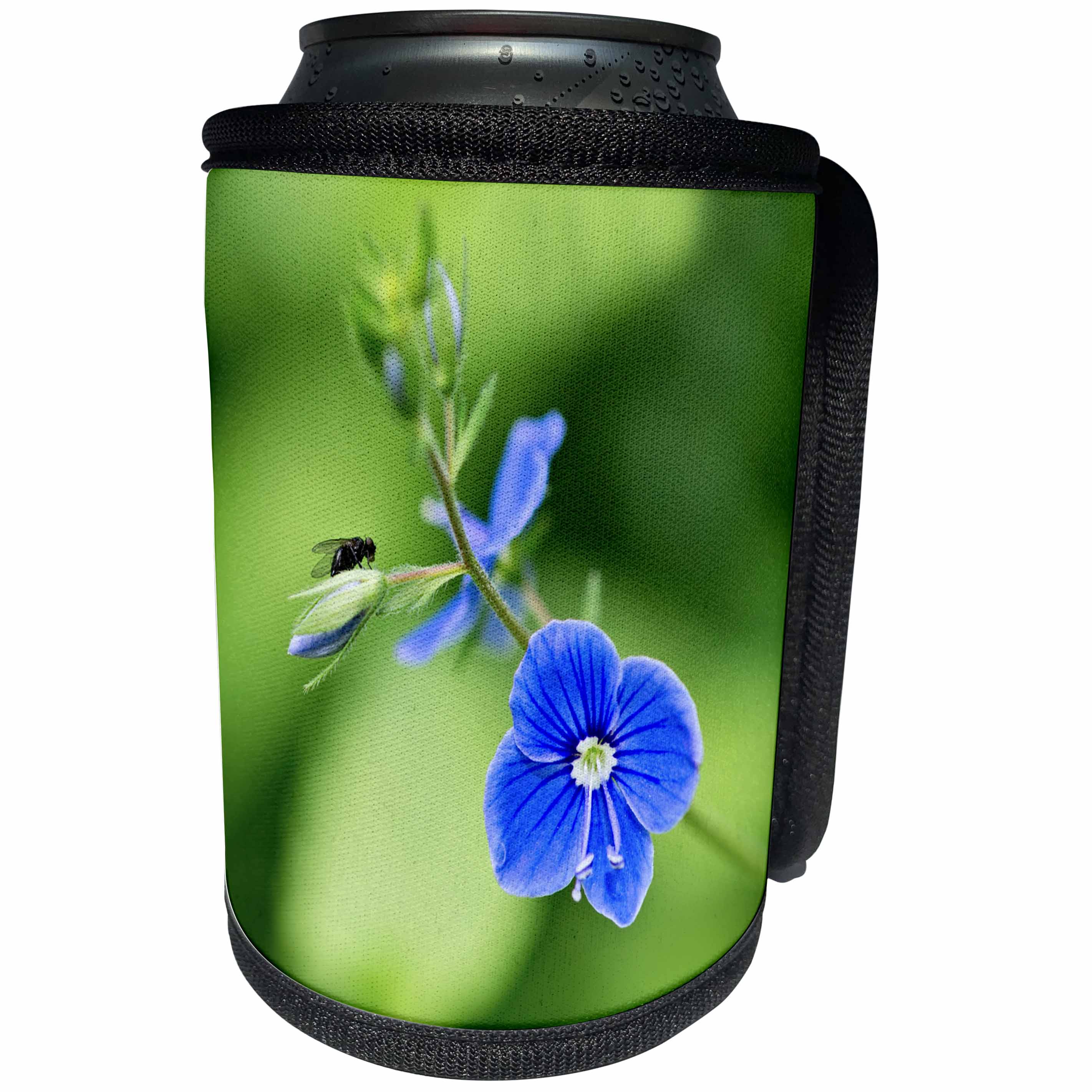 3dRose Alexis Photography - Spring - Fly and a small blue flower. Meadow fairy tale - Can Cooler Bottle Wrap (cc_265569)