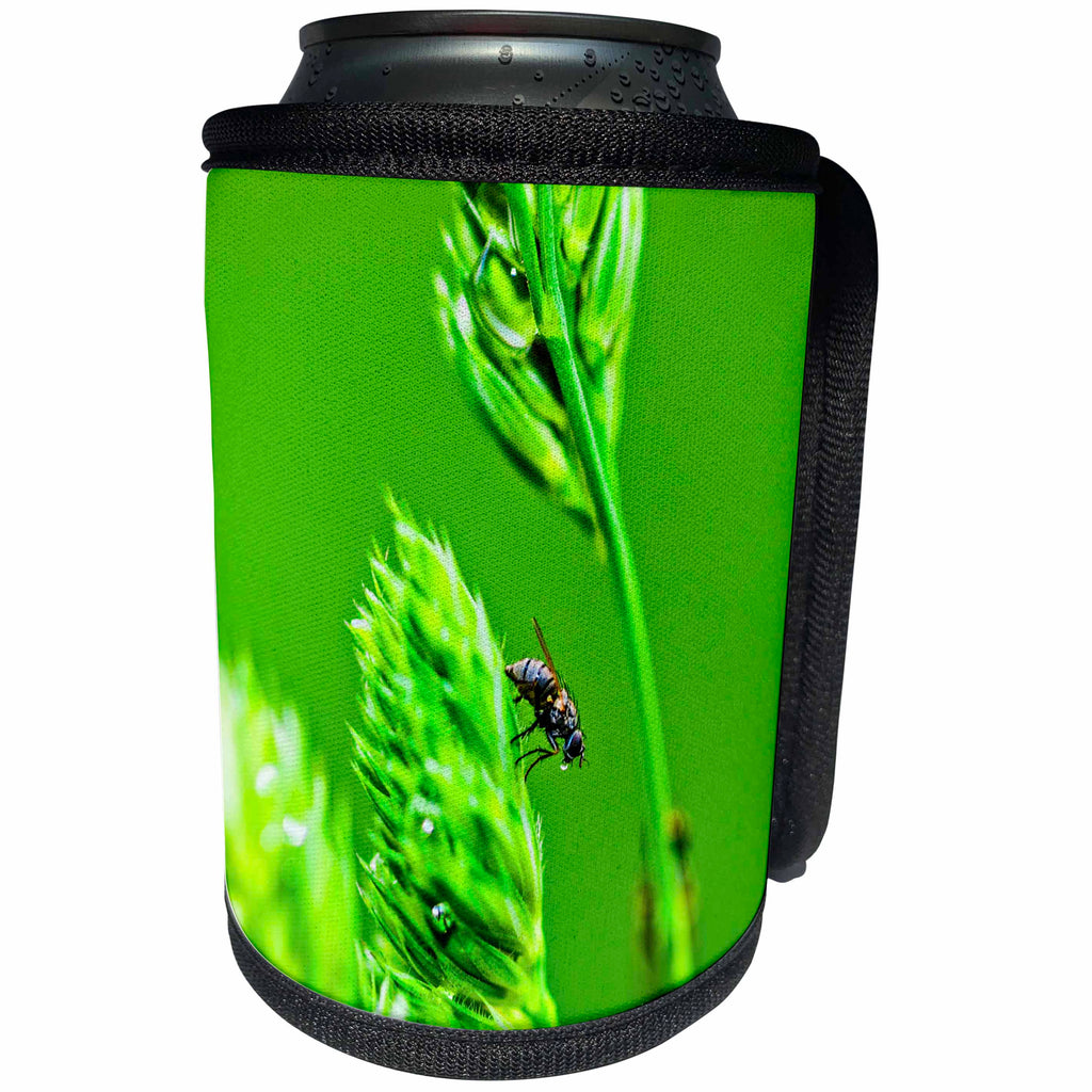 3dRose Alexis Photography - Spring - Fly drinks water on a grass spikelet. Meadow fairy tale - Can Cooler Bottle Wrap (cc_265570)