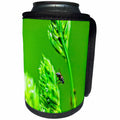 3dRose Alexis Photography - Spring - Fly drinks water on a grass spikelet. Meadow fairy tale - Can Cooler Bottle Wrap (cc_265570)