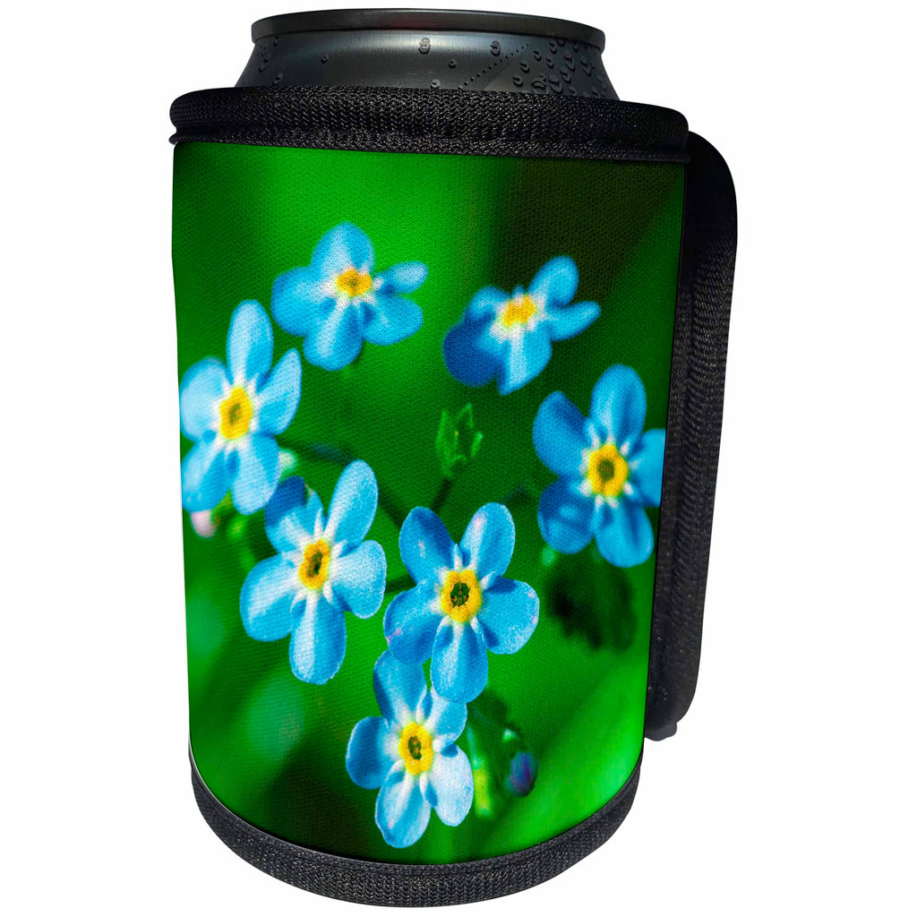 3dRose Alexis Photography - Flowers - Blue forget-me-not flowers - Can Cooler Bottle Wrap (cc_265577)