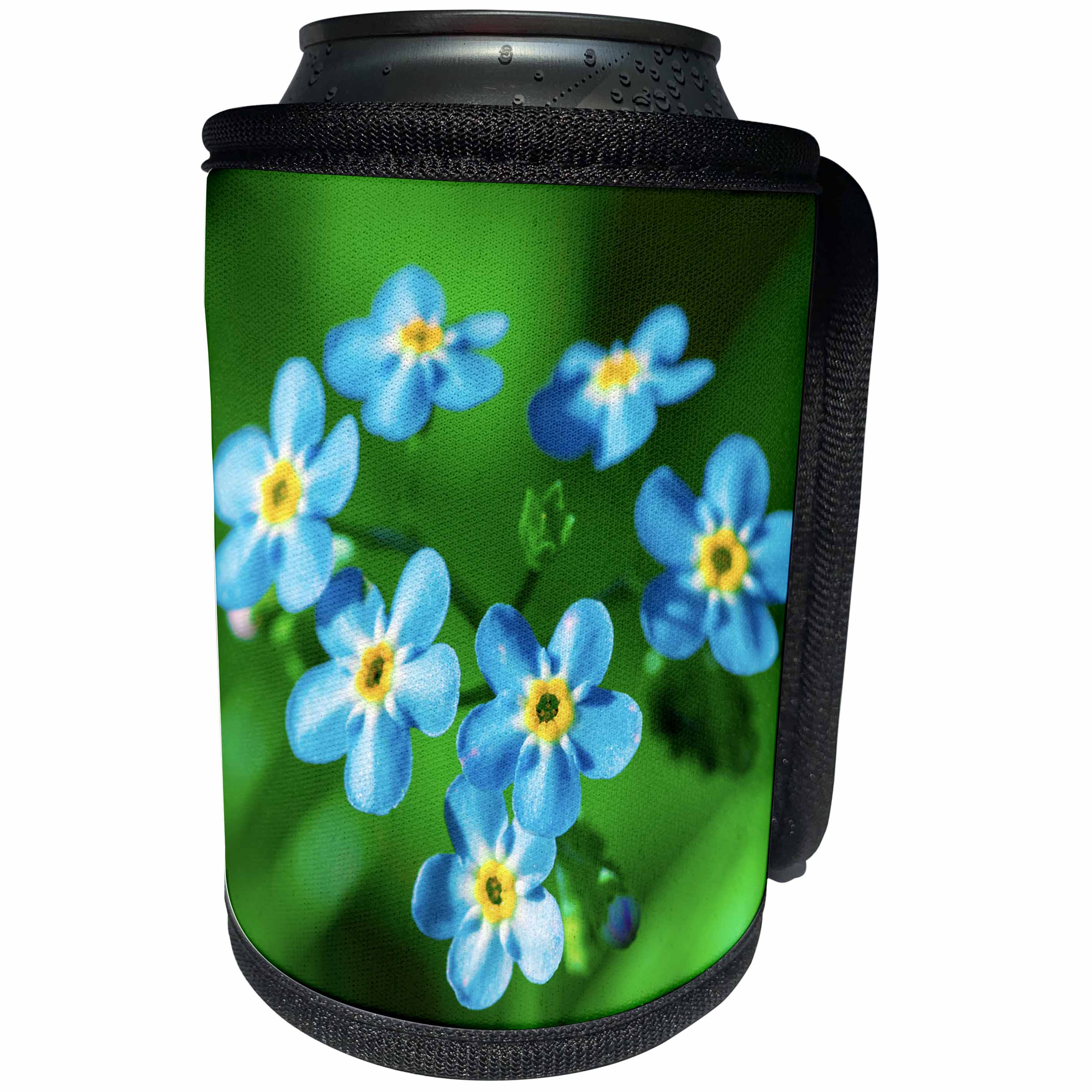 3dRose Alexis Photography - Flowers - Blue forget-me-not flowers - Can Cooler Bottle Wrap (cc_265577)