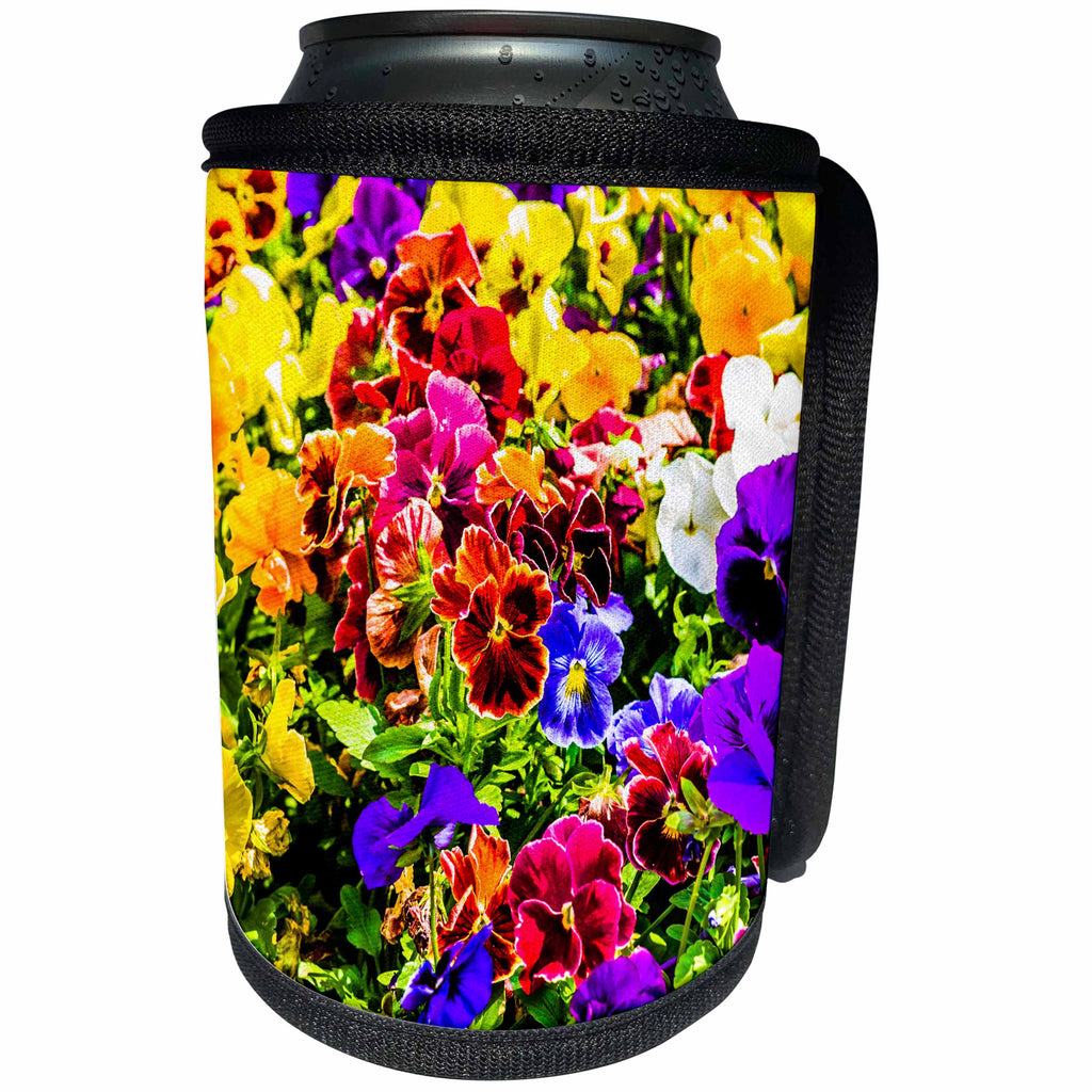 3dRose Alexis Photography - Flowers Pansy - Colorful viola tricolor pansy flowers - Can Cooler Bottle Wrap (cc_265579)