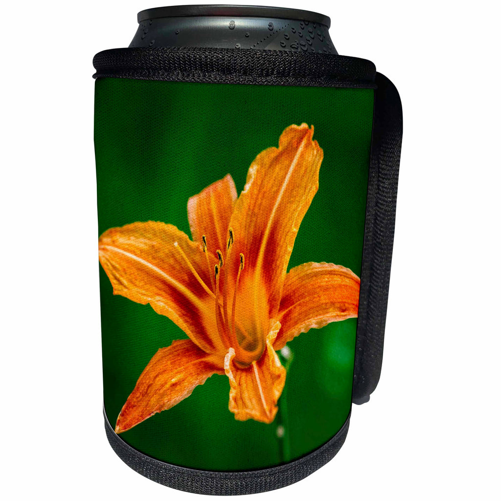 3dRose Alexis Photography - Flowers Lily - Closeup view of an orange lily flower on green - Can Cooler Bottle Wrap (cc_265582)