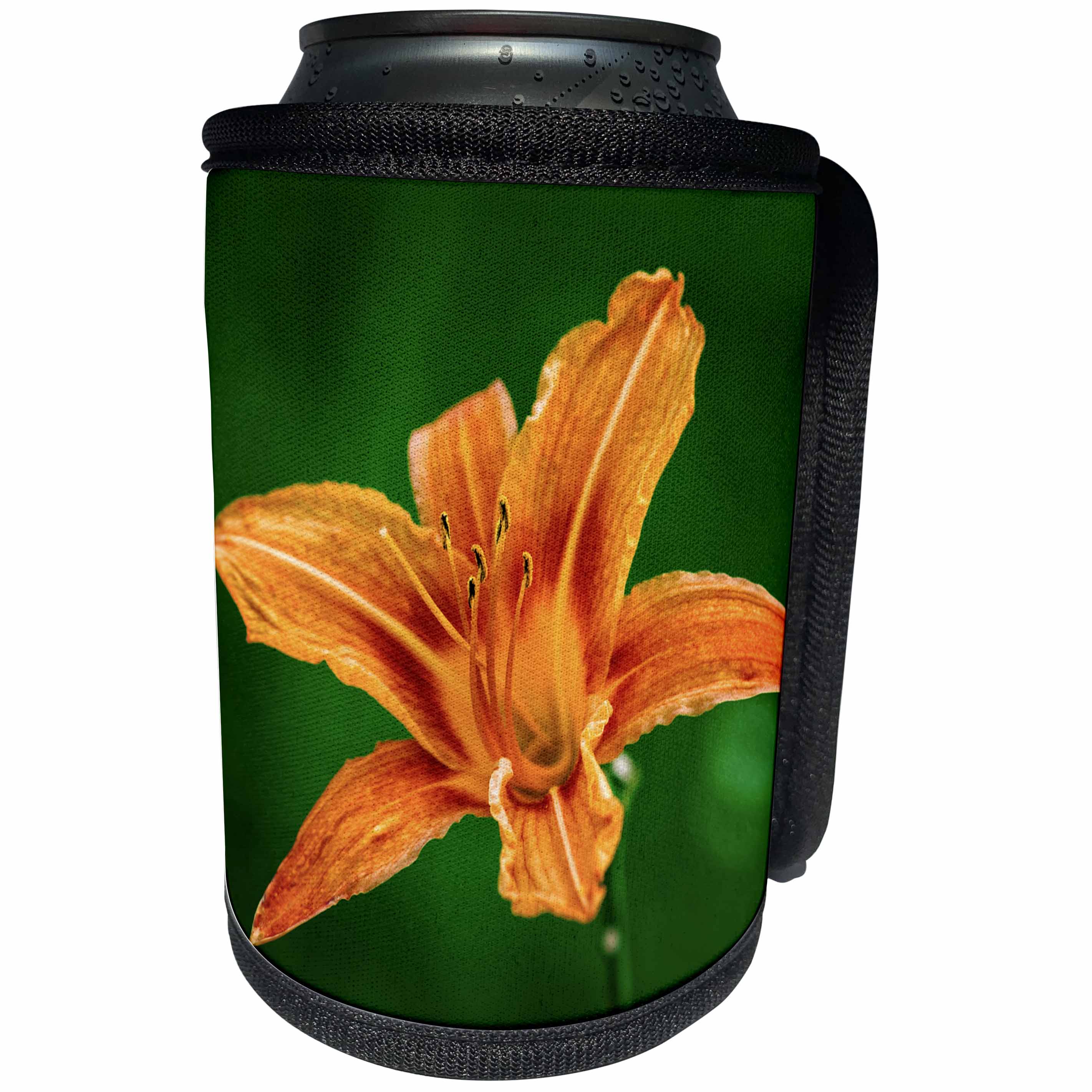 3dRose Alexis Photography - Flowers Lily - Closeup view of an orange lily flower on green - Can Cooler Bottle Wrap (cc_265582)