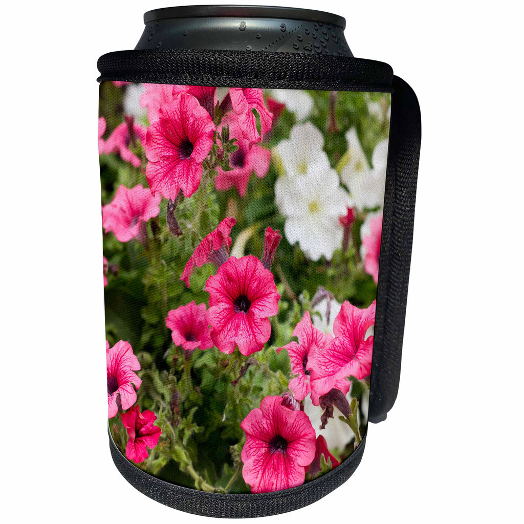 3dRose Alexis Photography - Flowers Petunia - Dark pink and white petunia flowers - Can Cooler Bottle Wrap (cc_265586)