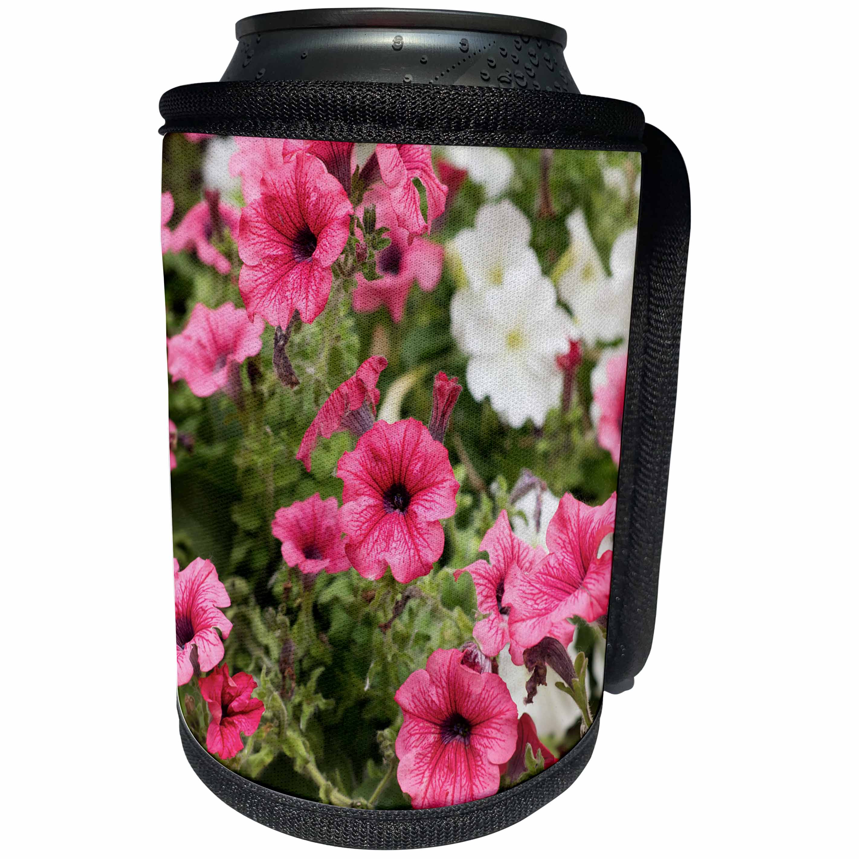 3dRose Alexis Photography - Flowers Petunia - Dark pink and white petunia flowers - Can Cooler Bottle Wrap (cc_265586)