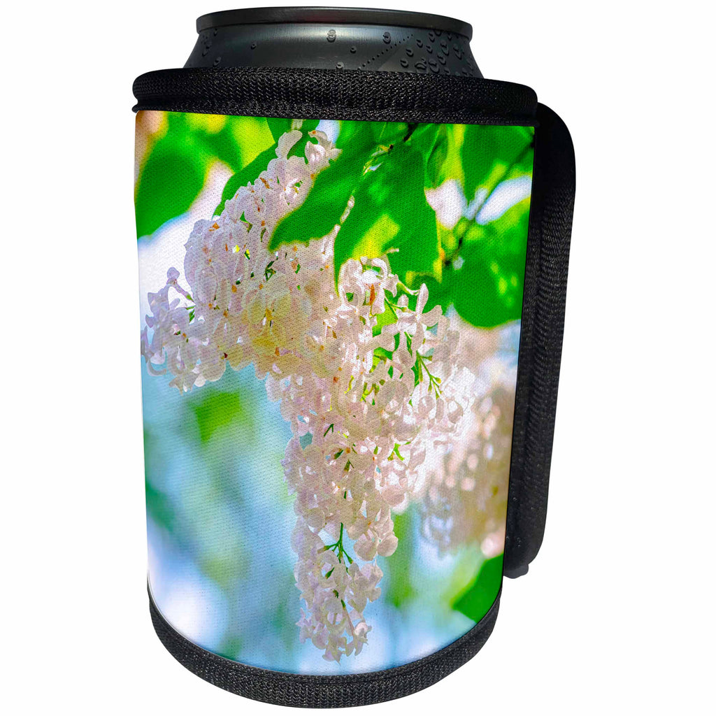 3dRose Alexis Photography - Flowers Lilacs - Beige lilac flowers hang on a bush. Green leaves - Can Cooler Bottle Wrap (cc_265653)