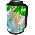 3dRose Alexis Photography - Flowers Lilacs - Beige lilac flowers hang on a bush. Green leaves - Can Cooler Bottle Wrap (cc_265653)