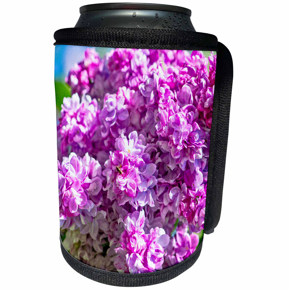 3dRose Alexis Photography - Flowers Lilacs - Closeup of purple lilac flowers. Rich texture - Can Cooler Bottle Wrap (cc_265654)