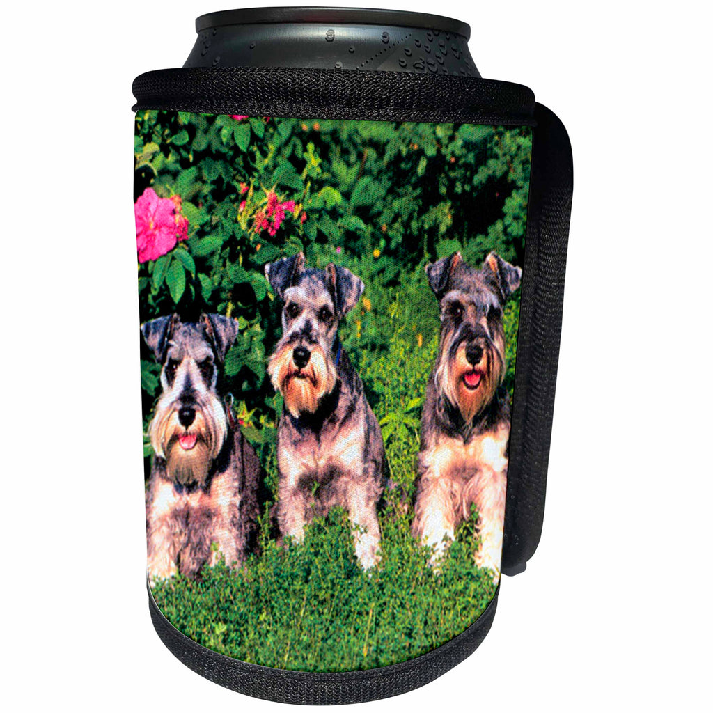 3dRose Dogs Schnauzer - Schnauzer - Can Cooler Bottle Wrap (cc_266)