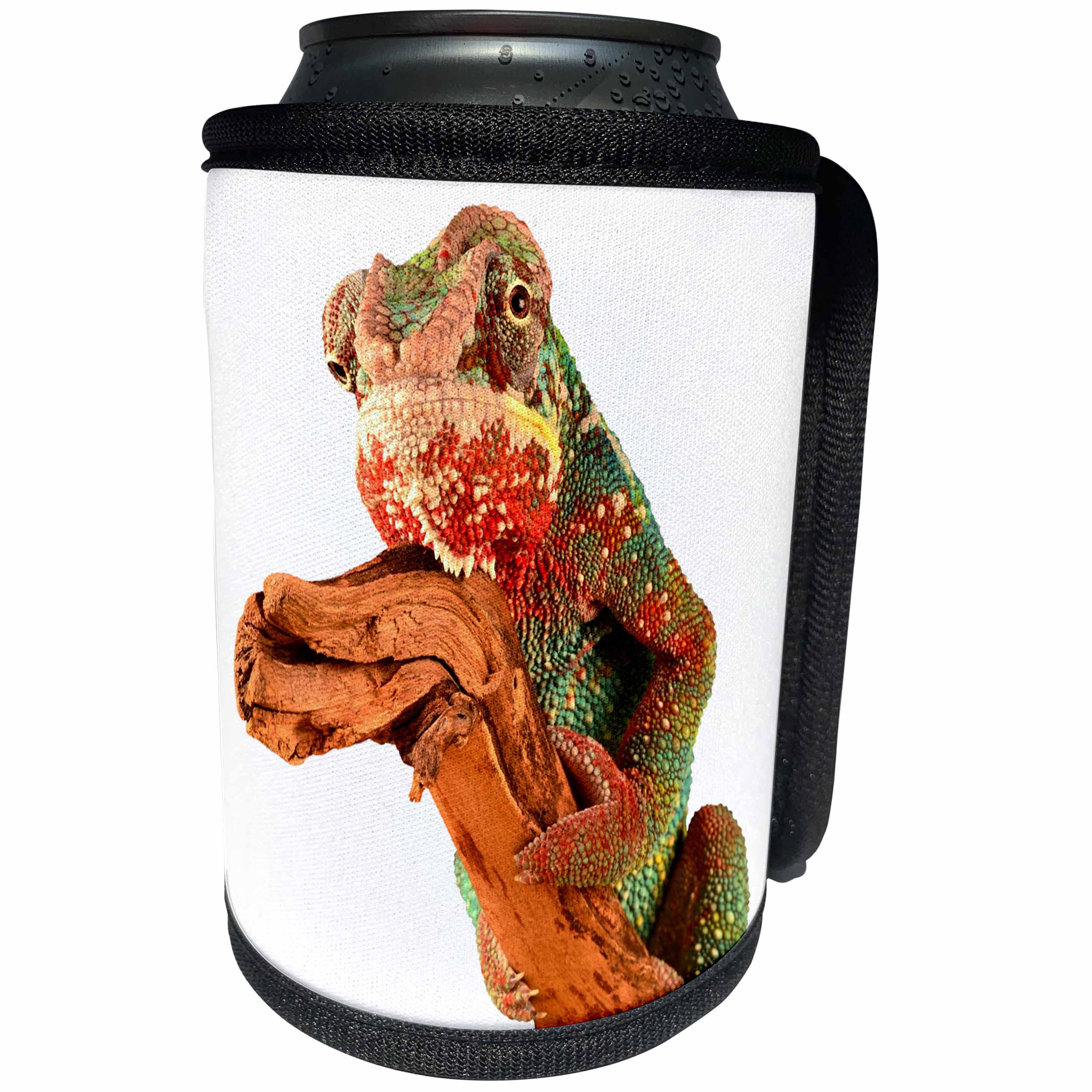 3dRose Sven Herkenrath Animal - A Colorful Chameleon Lizard Camouflage Closeup Photography - Can Cooler Bottle Wrap (cc_266150)