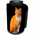 3dRose Sven Herkenrath Animal - Funny Red Cat Pet Kitten with Black Background - Can Cooler Bottle Wrap (cc_266203)