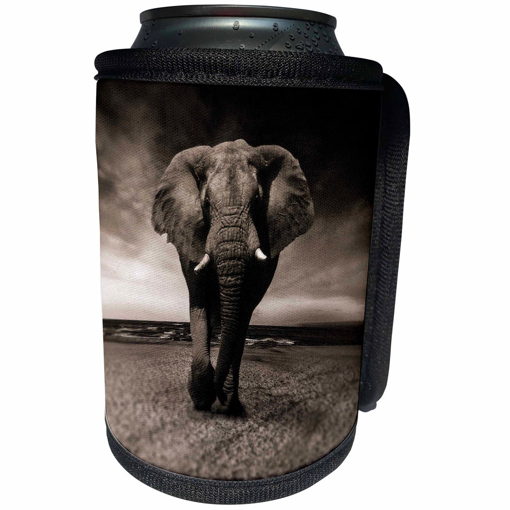 3dRose Sven Herkenrath Animal - African Wildlife Elephant Mammal Zoo Jungle - Can Cooler Bottle Wrap (cc_266229)