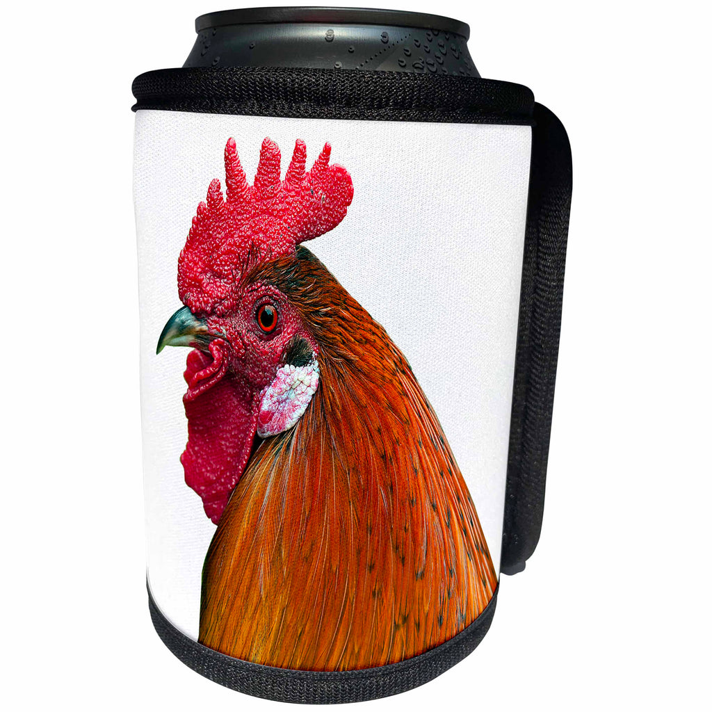 3dRose Sven Herkenrath Animal - Portrait of Chicken - Can Cooler Bottle Wrap (cc_266236)