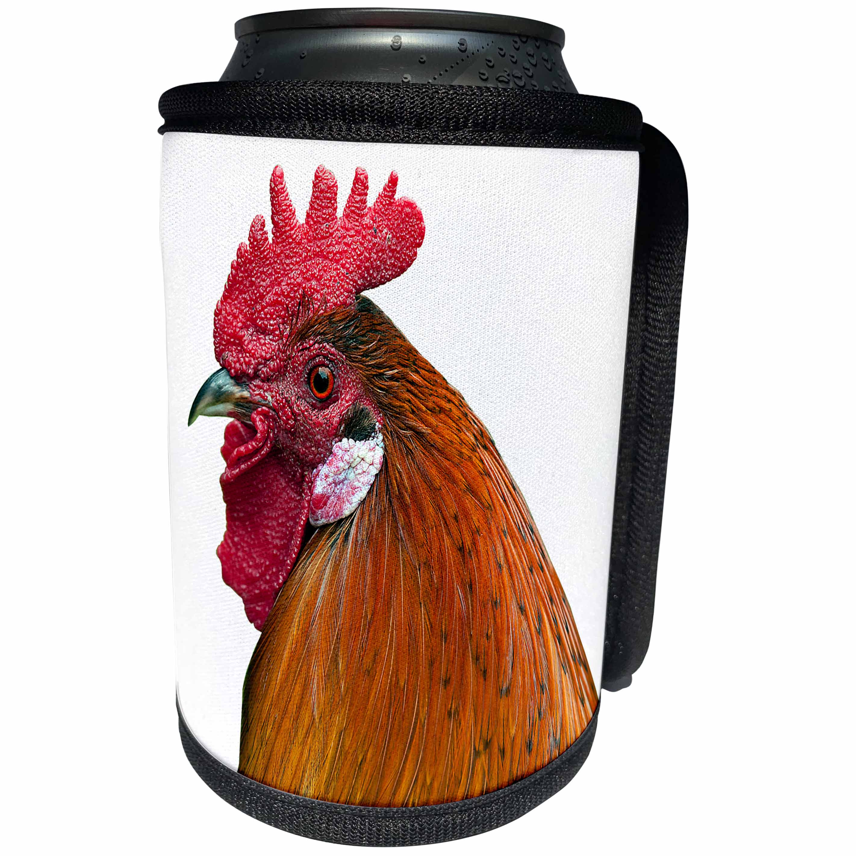 3dRose Sven Herkenrath Animal - Portrait of Chicken - Can Cooler Bottle Wrap (cc_266236)