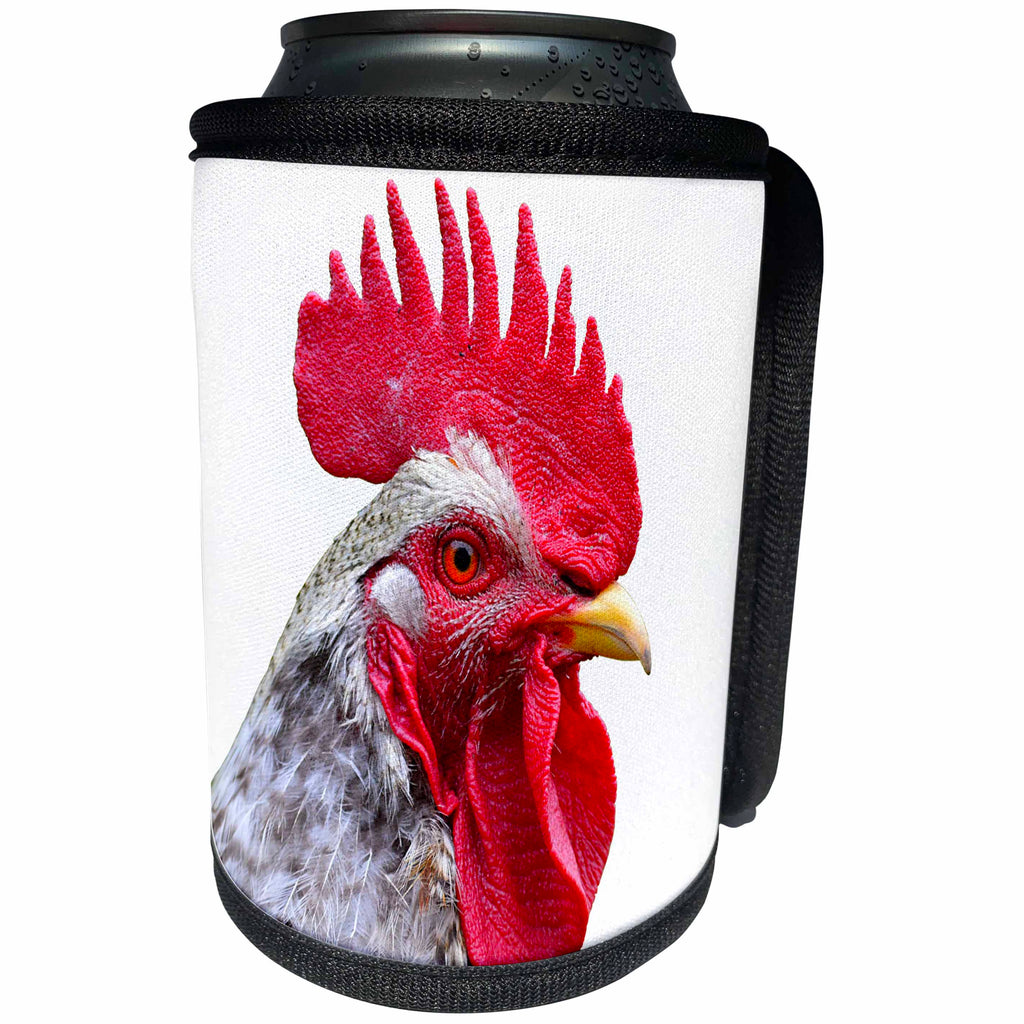 3dRose Sven Herkenrath Animal - Portrait of Chicken, Animal - Can Cooler Bottle Wrap (cc_266237)