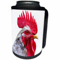 3dRose Sven Herkenrath Animal - Portrait of Chicken, Animal - Can Cooler Bottle Wrap (cc_266237)