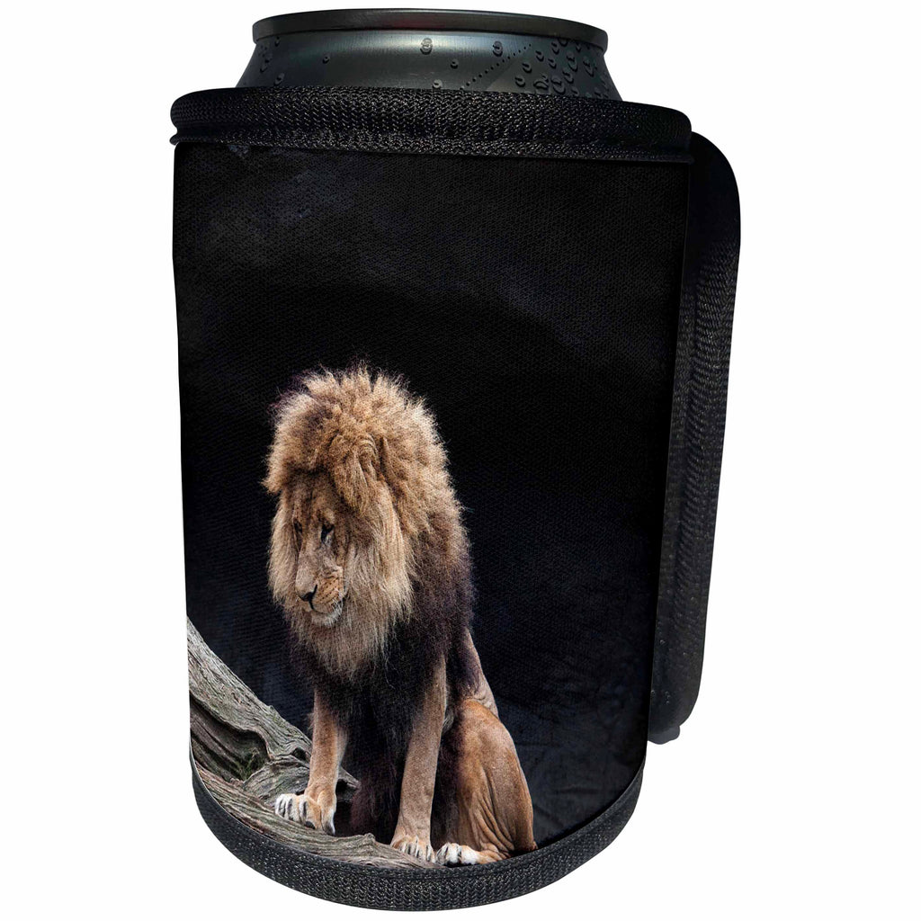 3dRose Sven Herkenrath Animal - Lion Wildlife Cat in the Savanna Jungle - Can Cooler Bottle Wrap (cc_266242)