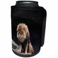 3dRose Sven Herkenrath Animal - Lion Wildlife Cat in the Savanna Jungle - Can Cooler Bottle Wrap (cc_266242)