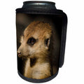 3dRose Sven Herkenrath Animal - Closeup Portrait of Meerkat African Animal Wildlife Nature - Can Cooler Bottle Wrap (cc_266244)