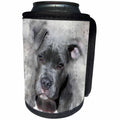 3dRose Sven Herkenrath Animal - Pitbull Dog Pet Animal Graphic Lovers - Can Cooler Bottle Wrap (cc_266247)