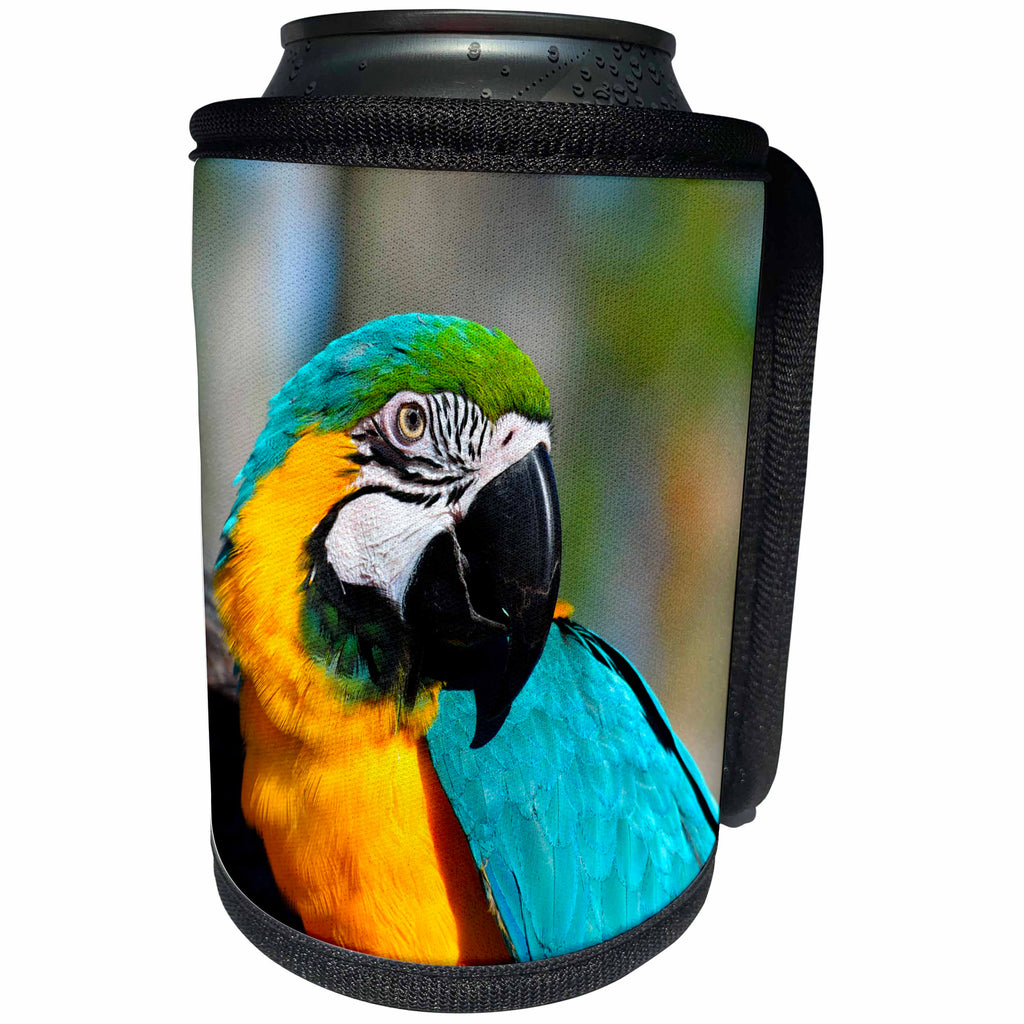 3dRose Sven Herkenrath Animal - Wildlife Parrot Bird in the Free Nature Budgerigar - Can Cooler Bottle Wrap (cc_266254)