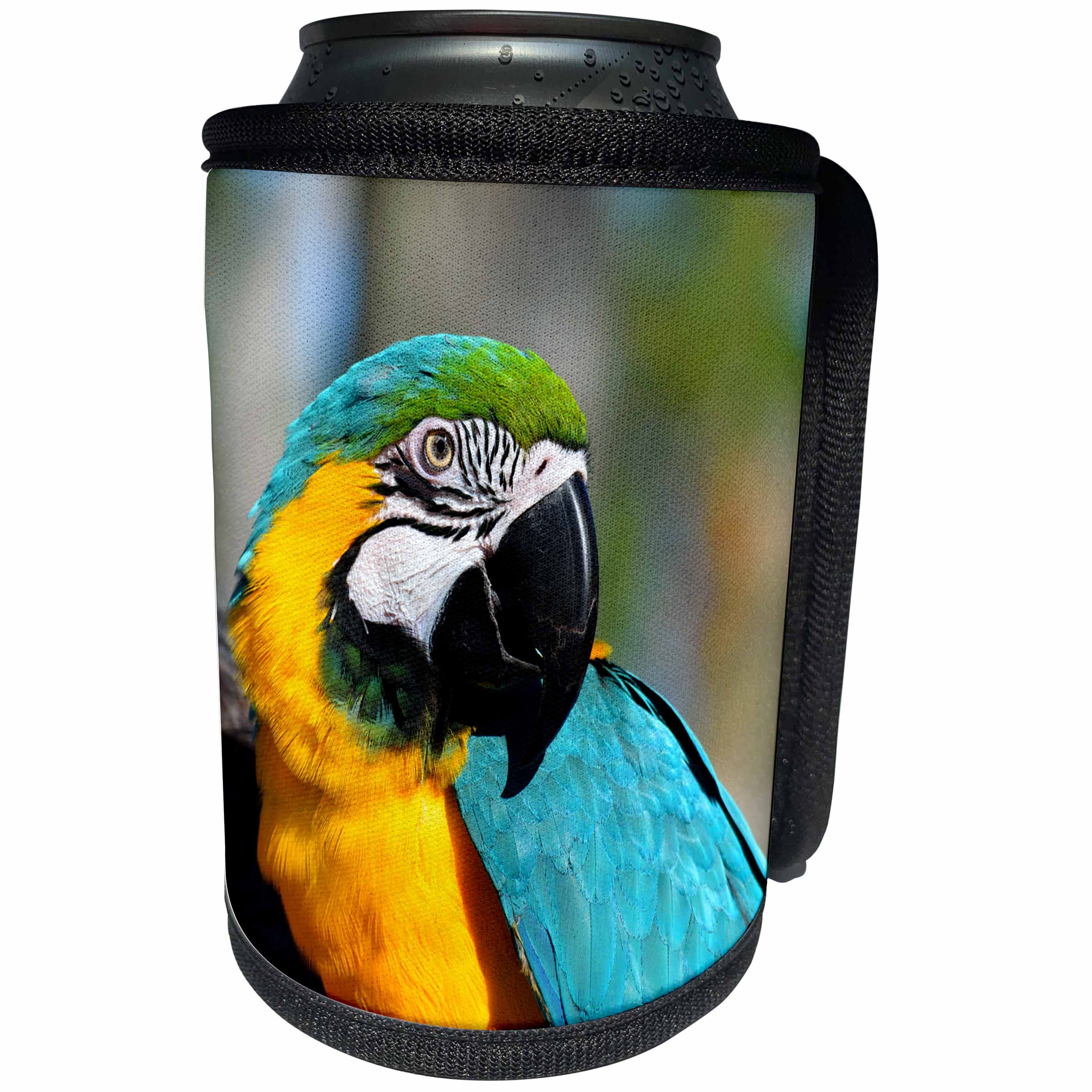 3dRose Sven Herkenrath Animal - Wildlife Parrot Bird in the Free Nature Budgerigar - Can Cooler Bottle Wrap (cc_266254)
