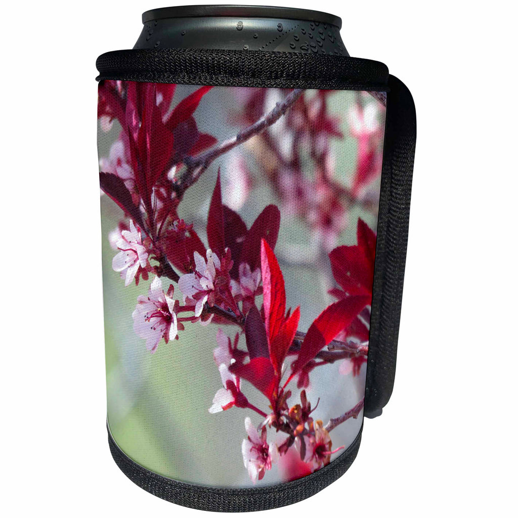 3dRose Jos Fauxtographee- Flowering Tree in Spring - A gorgeous Pink and Maroon blossoming tree in Spring - Can Cooler Bottle Wrap (cc_266288)