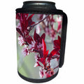 3dRose Jos Fauxtographee- Flowering Tree in Spring - A gorgeous Pink and Maroon blossoming tree in Spring - Can Cooler Bottle Wrap (cc_266288)