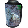 3dRose Jos Fauxtographee- Shi Tzu by Rock - A cute Shi Tzu doggie on near a moldy rock in the forest - Can Cooler Bottle Wrap (cc_266316)