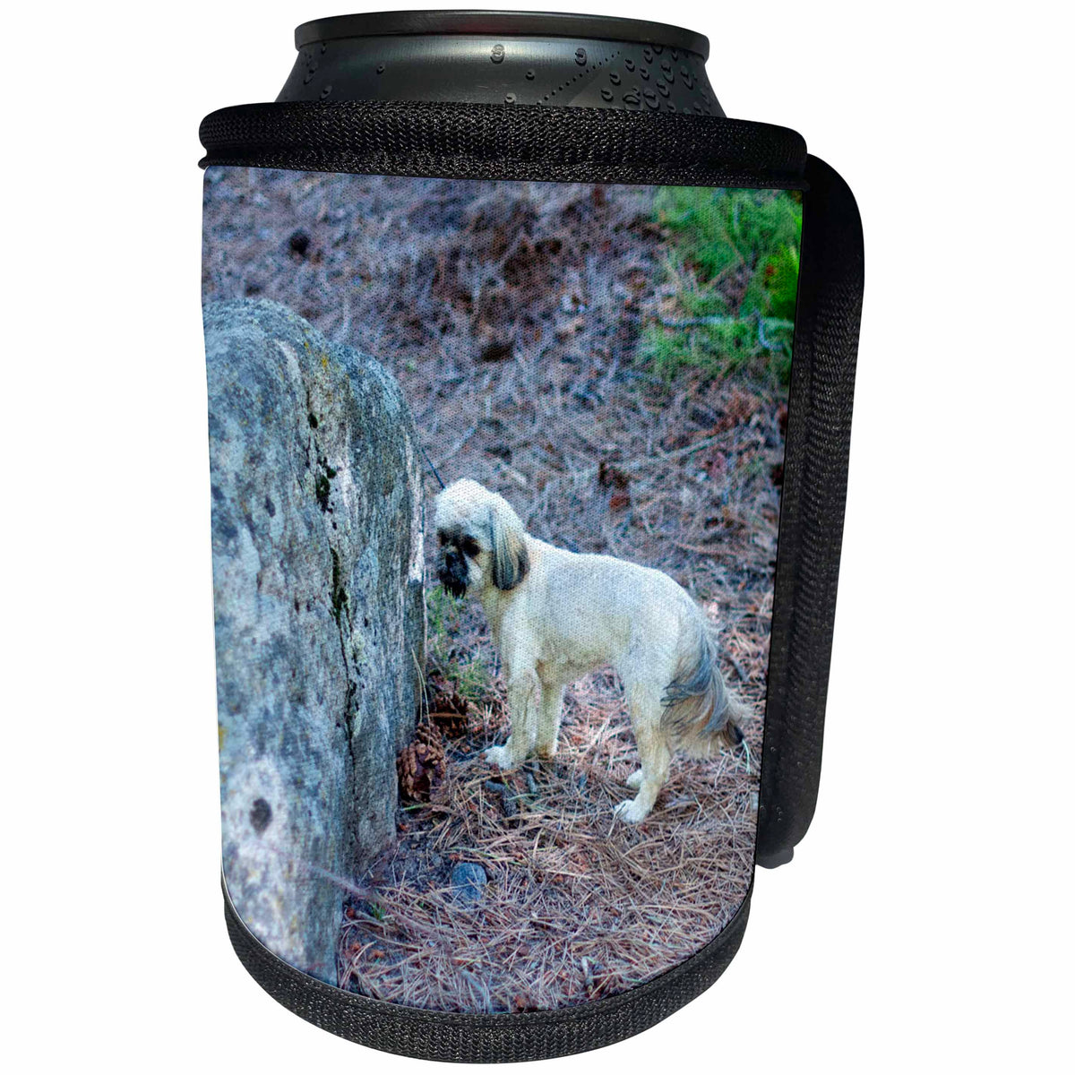 3dRose Jos Fauxtographee- Shi Tzu by Rock - A cute Shi Tzu doggie on near a moldy rock in the forest - Can Cooler Bottle Wrap (cc_266316)