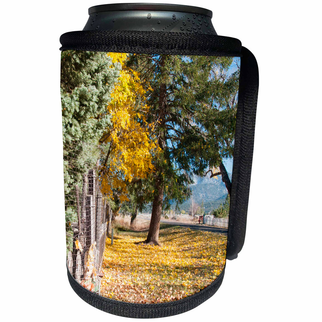 3dRose Jos Fauxtographee- Fall Leaves - Leaves all over the ground with trees in the distance in fall - Can Cooler Bottle Wrap (cc_266328)