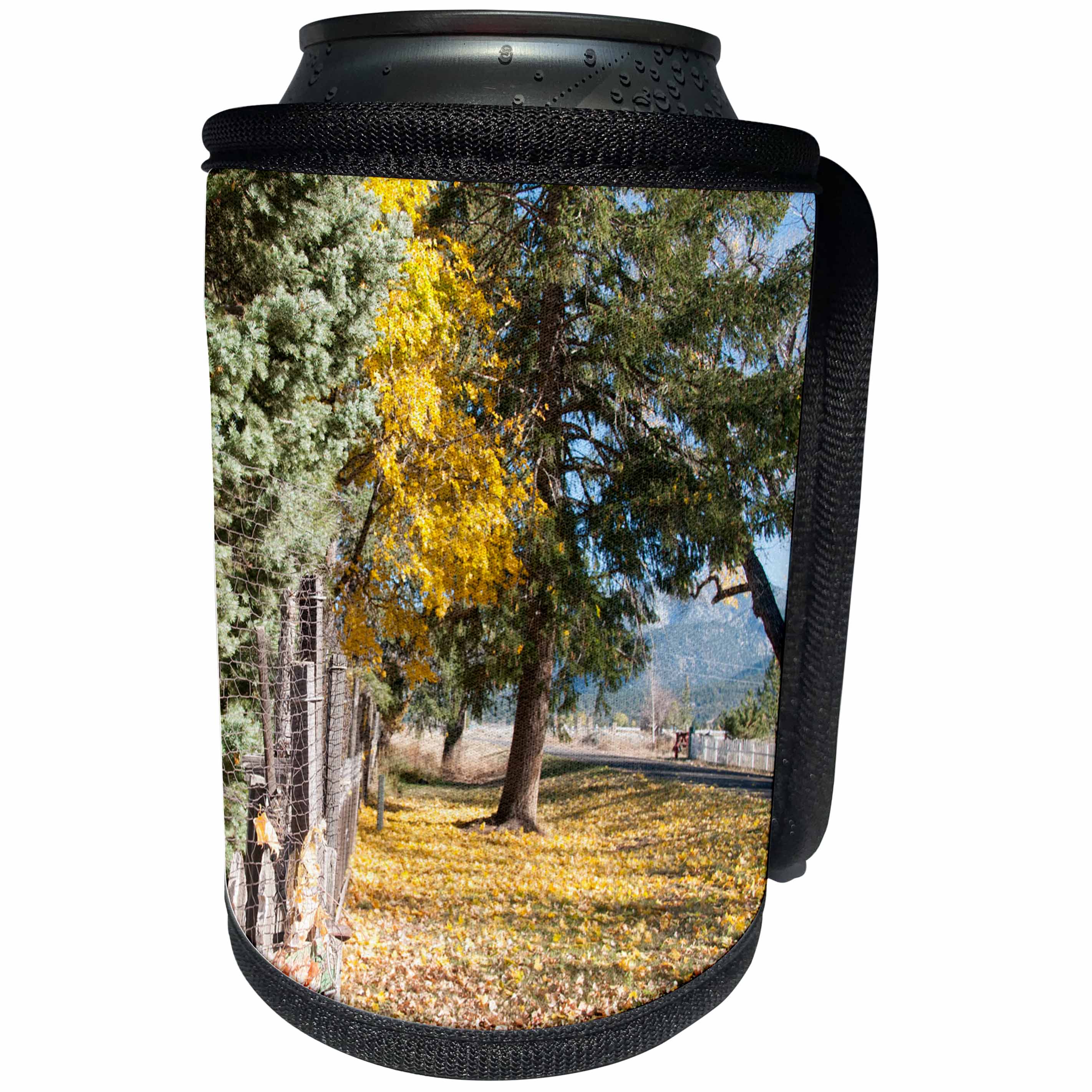 3dRose Jos Fauxtographee- Fall Leaves - Leaves all over the ground with trees in the distance in fall - Can Cooler Bottle Wrap (cc_266328)