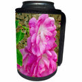 3dRose Jos Fauxtographee- Accented Edges Floral - Pink Roses with accented edges done digitally - Can Cooler Bottle Wrap (cc_266350)