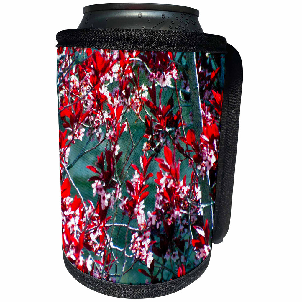 3dRose Jos Fauxtographee- Flowering Bush in Pink - Maroon and pink flowers all over a bush in springtime - Can Cooler Bottle Wrap (cc_266357)